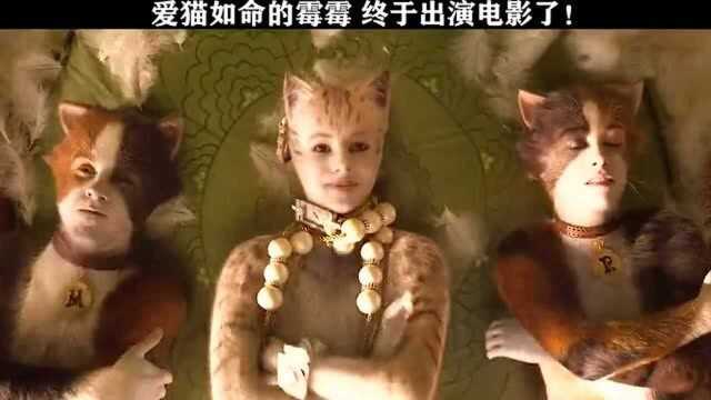 爱猫如命的霉霉,终于出演电影了!由著名《sats猫》改编的真人版电影