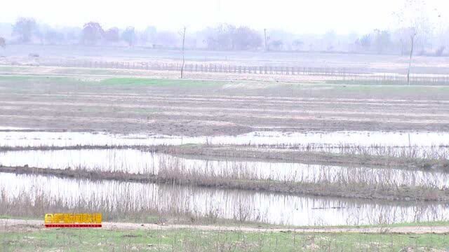 合肥环湖十大湿地修复建设稳步推进