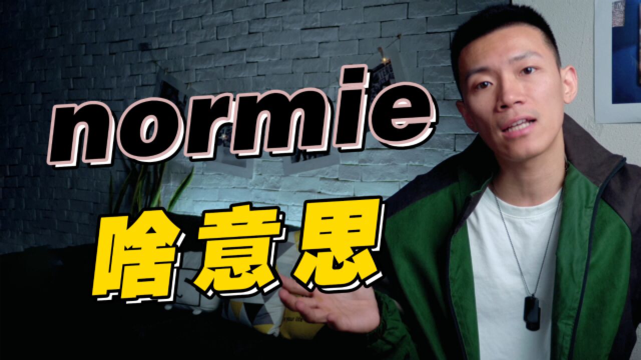 美国年轻人常说的normie到底啥意思?