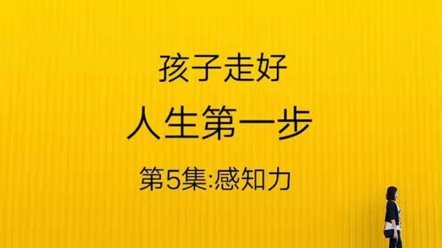 孩子走好人生第一步:第5集:感知力!这样的孩子更有感知力!