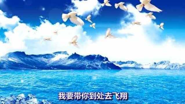 一首怀旧情歌《带你飞翔》