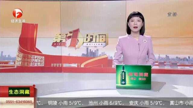 马鞍山:警方追踪毒源 摧毁跨省贩毒网络(上)