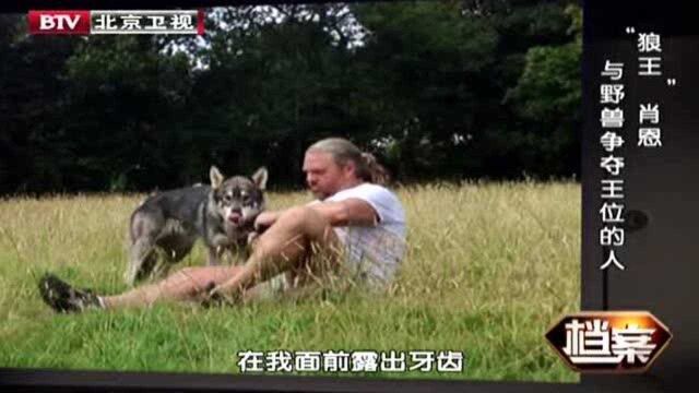 一个人类竟融入一个野生狼家庭,最后一次狼群对他的考验险些让他崩溃