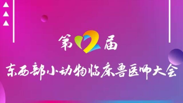 第十二届东西部小动物临床兽医师大会【兽医老照片相册】