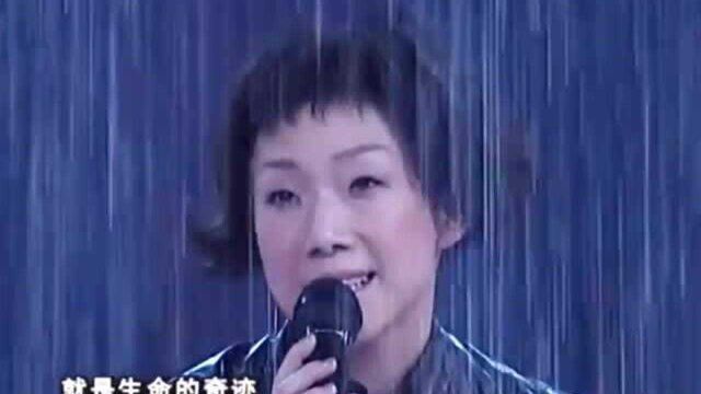 央视春晚歌曲精选:《至少还有你》(2003)林忆莲演唱,让人泪目