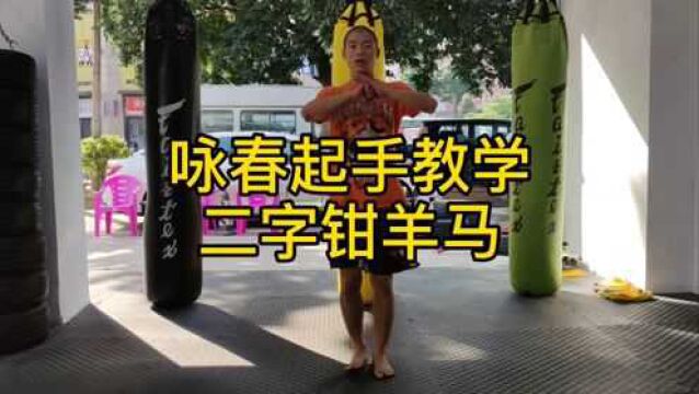 咏春拳起手教学之二字钳羊马