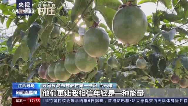 央视新闻走进高布村 与第一书记共追寻“永远年轻的村庄”