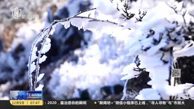 浙江临海:括苍山雾凇 冰雪世界醉人心