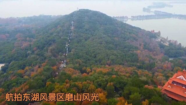 航拍磨山# 武汉东湖风景区磨山景区以磨山为主,围绕磨山建设楚风园、梅园、樱园、荷园等,成为东湖风景区主要景区之一.