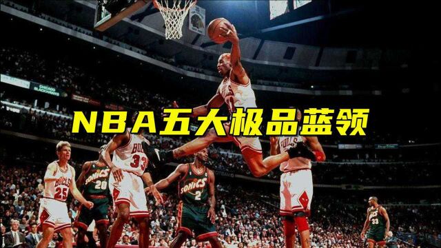 NBA五大极品蓝领:传奇福将冠军比乔丹还多,罗德曼抢篮板球我能看一天