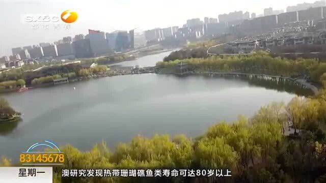 天气变冷注意保暖 未来三天陕西多地将迎降雪