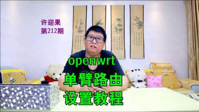 许迎果 第212期 openwrt单臂路由模式设置教程