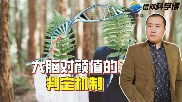 平均脸等于高颜值?大脑对颜值的判定机制是什么?