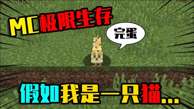 我的世界极限生存:假如我变了一只猫,该如何生存?