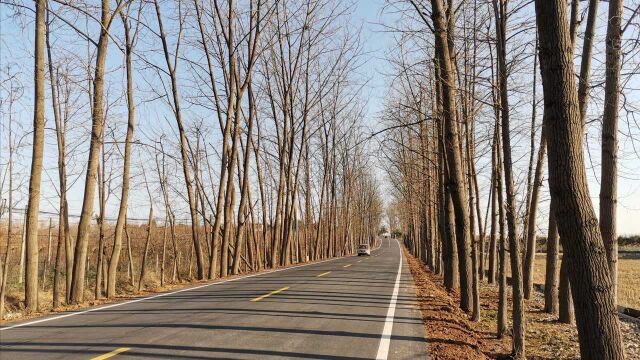 安徽合肥:农村公路上的美景配上这音乐,真是让人心情舒畅