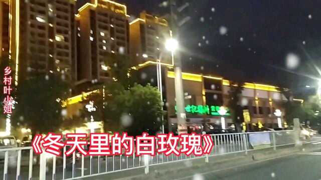 实拍怀集美丽风景,天气冷了,照顾好自己,冬天里的白玫瑰送给大家