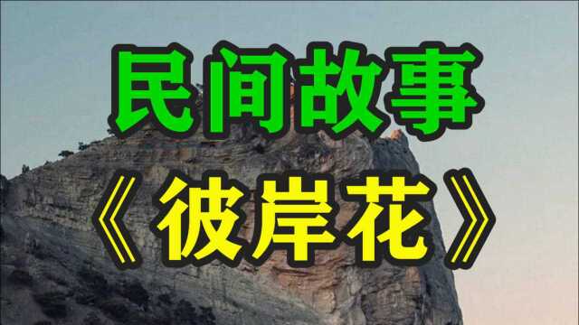 民间故事《彼岸花》宁受忘川千年苦不饮孟婆一碗汤