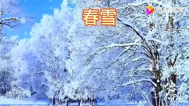 #吟诗作对#《春雪》一—一韩愈 赏析