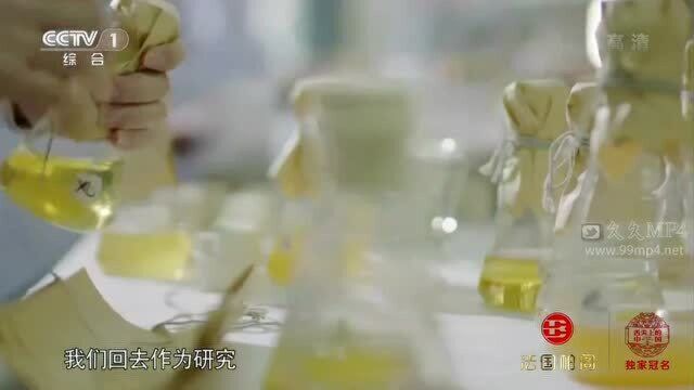 舌尖上的中国:东北最好的酸菜物种,非常的有益