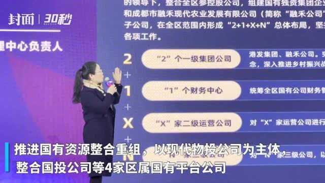 成都市青白江区整合国有资源 千亿规模的国有企业“上线”