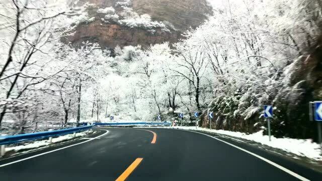 不怕音乐太好听,就怕歌词入了心 ,愿你们只听曲中意,不去做那曲中人!