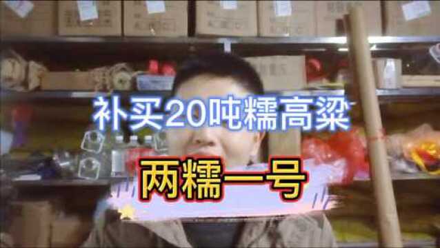 不说前面买的20吨糯高粱用光了,这次又买了20吨,品种是两糯一号.