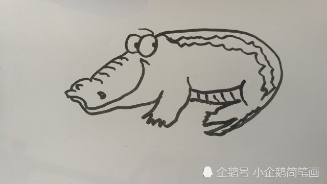 卡哇伊的鳄鱼简笔画