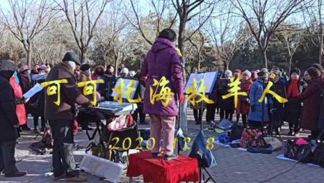 这首歌为什么被老年合唱团热唱?歌友:因为他们有相同的经历