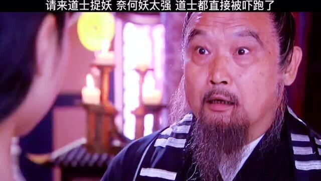 妻子发现小唯是妖,丈夫不仅不相信,还偏袒小唯