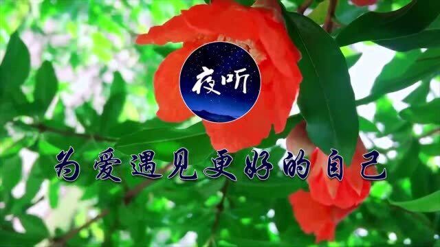 【夜听】别睡太晚,别爱太满