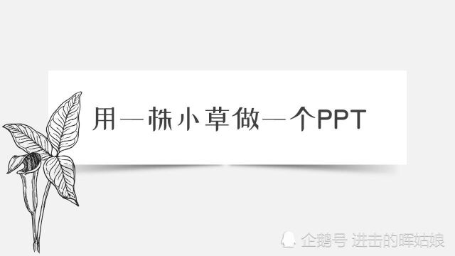 PPT灵感之用一株小草做一个PPT