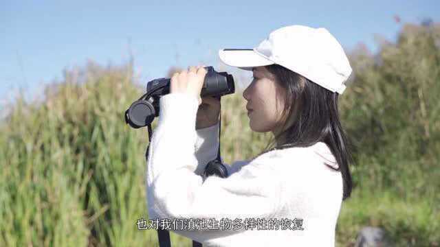 保护滇池流域生物多样性 感受自然精灵的脉动