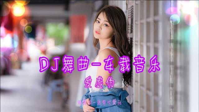 DJ舞曲车载音乐(美女蹦迪珍藏版爱虚伪)