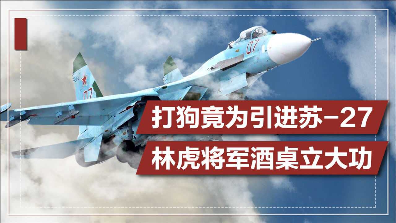 空军逆袭史:打狗竟为引进苏27,将军酒桌立大功(一)