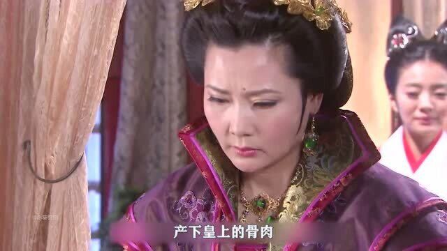 贤妃遭陷害被打入冷宫,如今产下皇子复宠,太后连夜接贤妃母子风光回宫