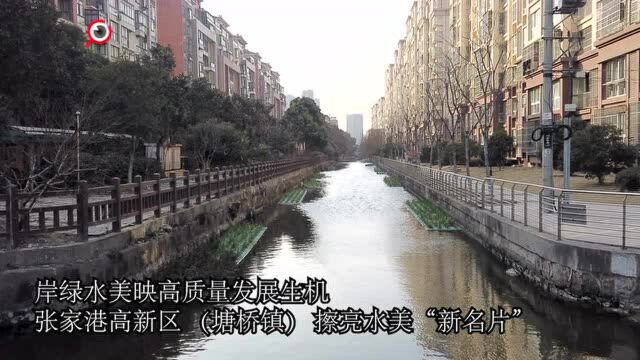 视频|岸绿水美映高质量发展生机,张家港高新区(塘桥镇) 擦亮水美“新名片 ”