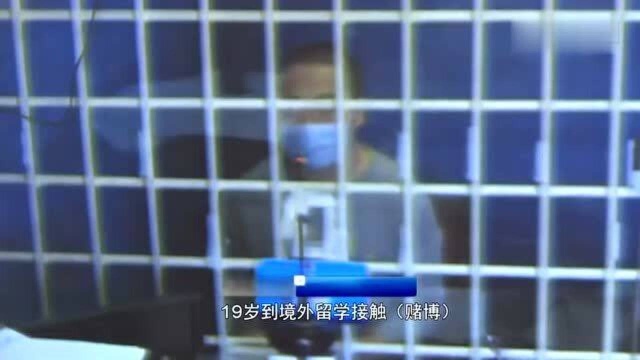 5个月参与网络赌博,投注超10亿!90后“赌王”在厦被起诉