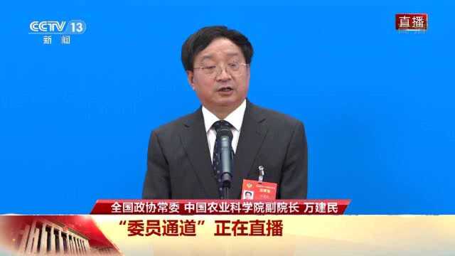 委员通道丨万建民:打好种业翻身仗 从五个方面加强粮食安全