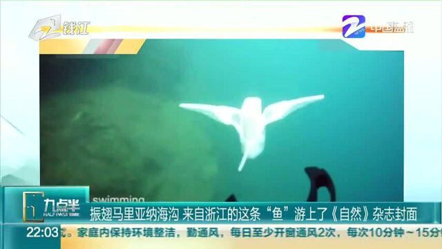 振翅马里亚纳海沟 来自浙江的这条“鱼”游上了《自然》杂志封面