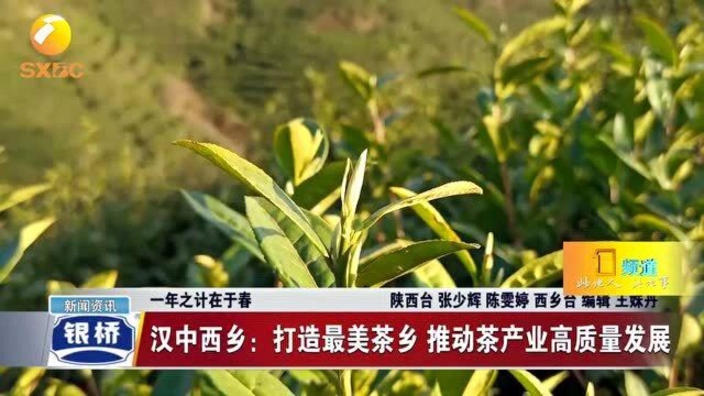 汉中西乡:打造最美茶乡 推动茶产业高质量发展