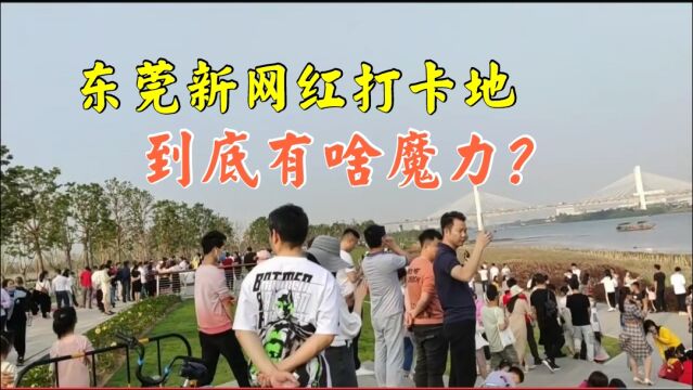 东莞竟藏着一个“神仙地方”,游客纷纷好奇前来,还有东莞小蛮腰