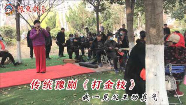 戏迷大姐嗓音圆润清澈,唱出豫剧《打金枝》,我一见父王动真气