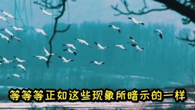 “潜意识”到底是什么,为什么它可以改变我们的命运,这个视频告诉你成功的真正秘密