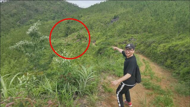 福建山区发现神秘红蛋墓,埋葬一位清朝老阿婆,吸引很多孕妇来祭拜