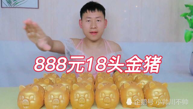 888元买18头金猪,是亏还是赚,里面会装有什么惊喜呢?