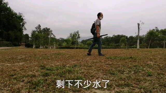 深圳坪山区的著名景点聚龙山公园