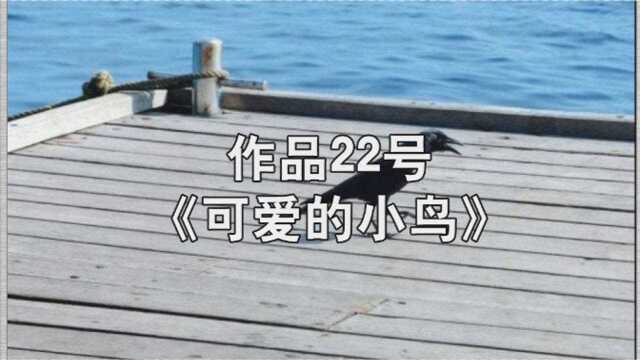 「一起读 」普通话水平测试短文朗读60篇作品22号《可爱的小鸟》