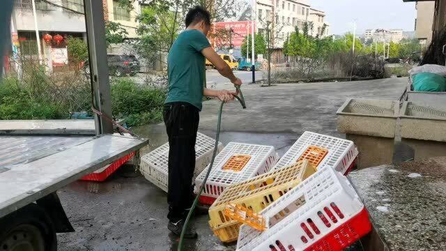 1装了狗狗的容器,一定要每天进行消毒,以防二次再用感染