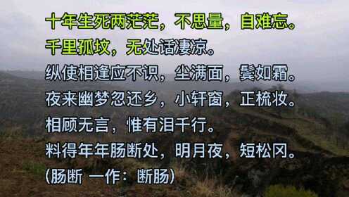 十年生死两茫茫