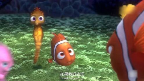 海底总动员2：小丑鱼不听鱼爸的话，结果危险真的来了